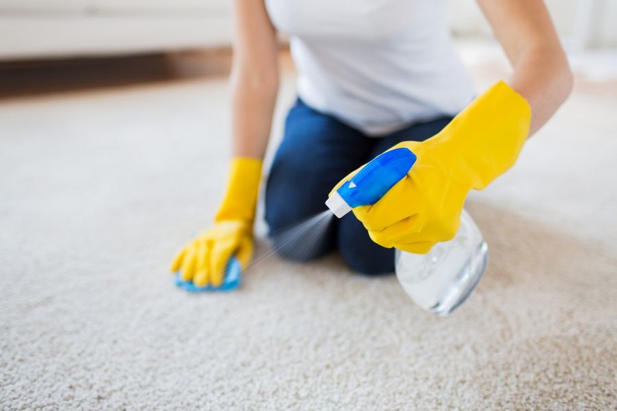 cleaning carpet with spray bottle