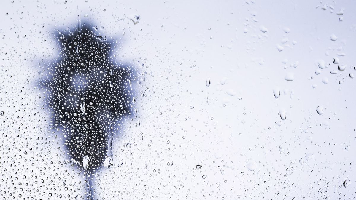Condensation on glass representing Florida's high humidity