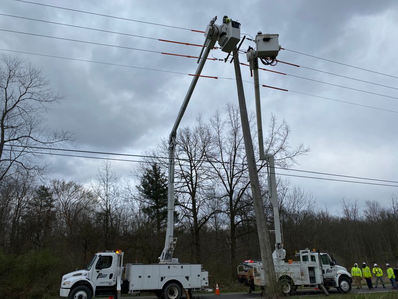 Power Line Safety: Tips to protect your business from electrical hazards