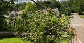 How to Deal With Damage to Power Lines After a Storm Featured Image.jpg