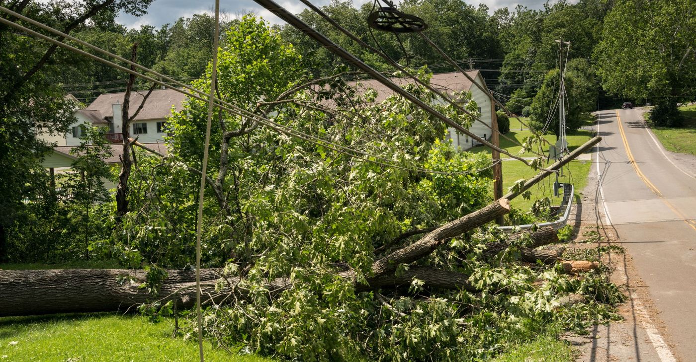 How to Deal With Damage to Power Lines After a Storm Featured Image.jpg