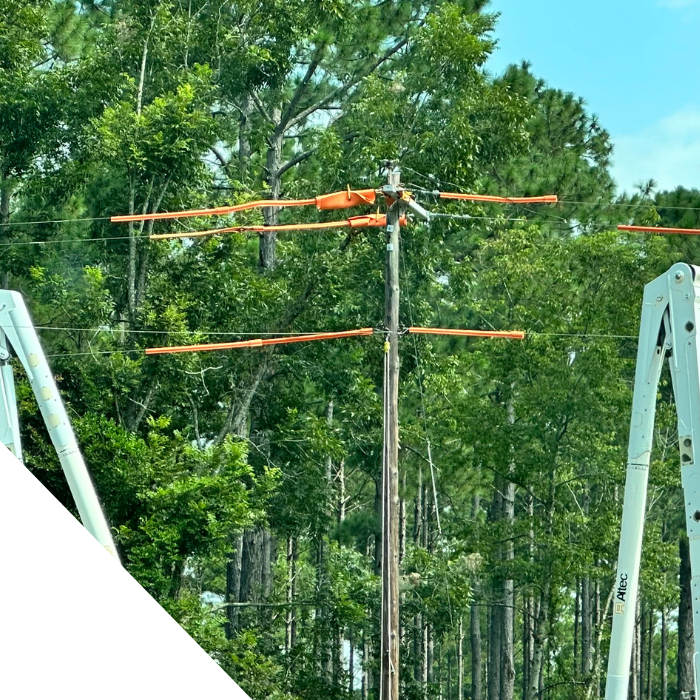 orange powerlines