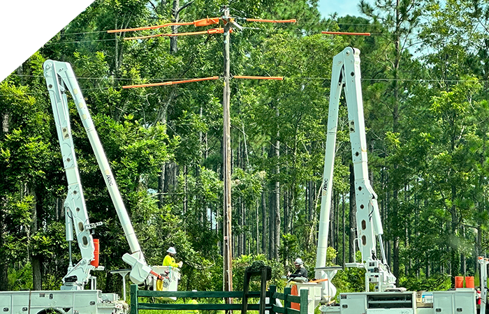 Two powerline workers
