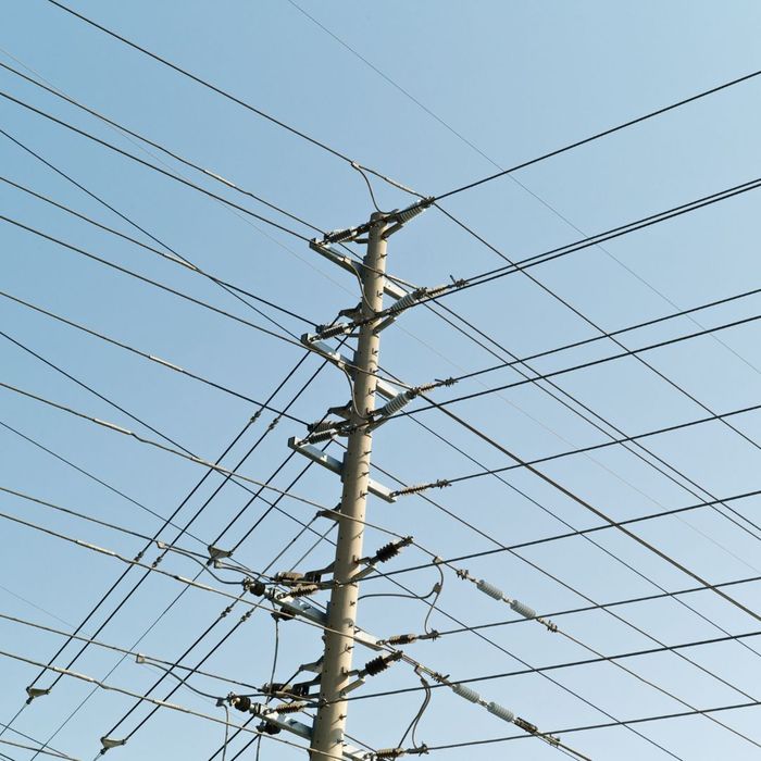 Common Issues That Can Occur With Powerlines 5.jpg