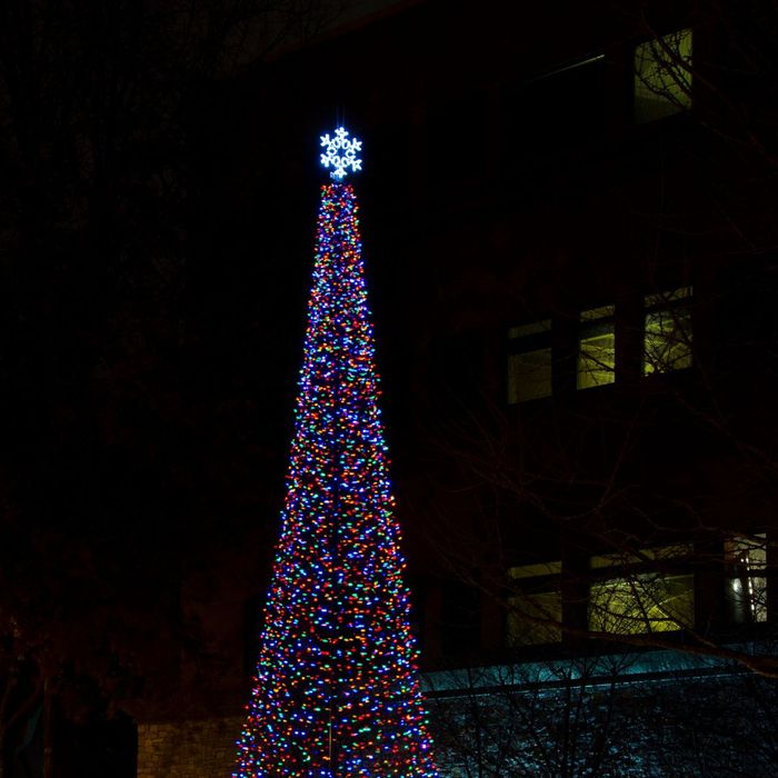 a christmas tree made with lights and topped with a snowflake
