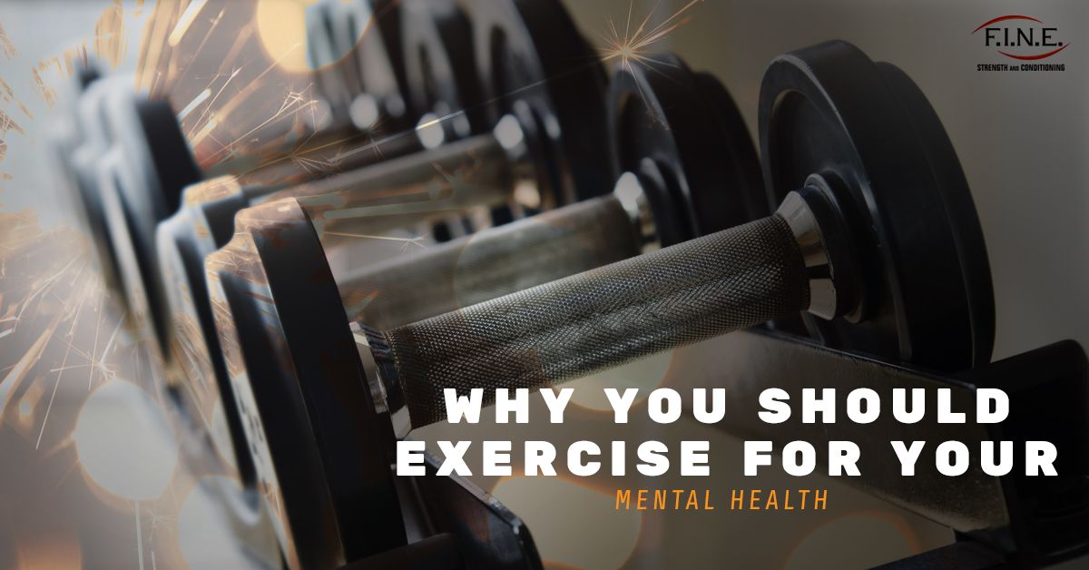 Why-You-Should-Exercise-for-Your-Mental-Health-5b3bd58d00adf.jpg