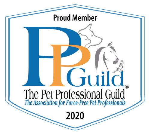PPG Member Badge 2020_white with tag blue line (1).png