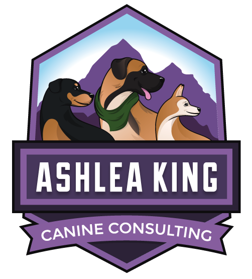 Ashlea King Canine Consulting