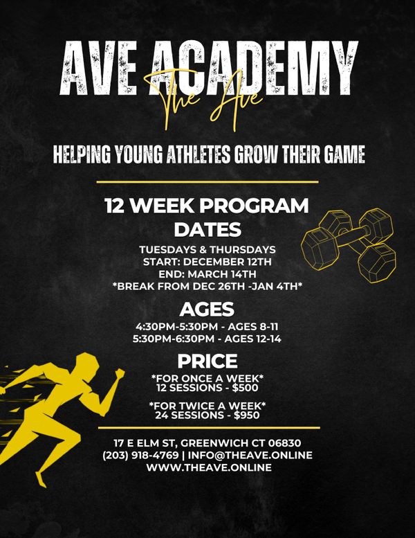 Ave Academy Flyer .jpeg