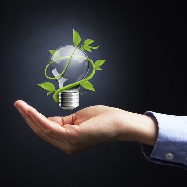 Graphic of person holding a lightbulb with leaves 
