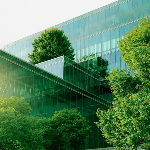 buildings with trees around 