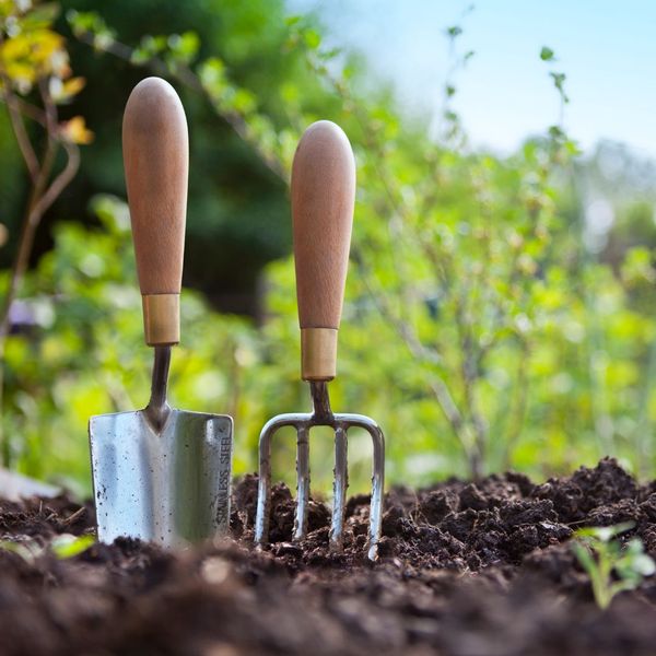 Garden tools in the soil