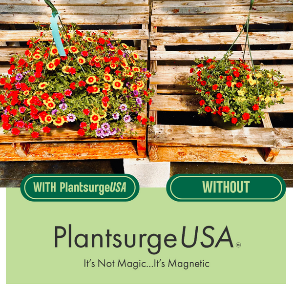 plantsurge.png