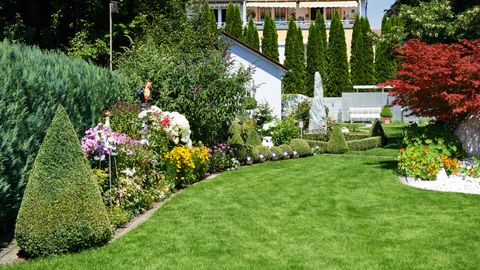 Neat yard and garden