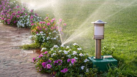 sprinkler watering flowers bordering walkway