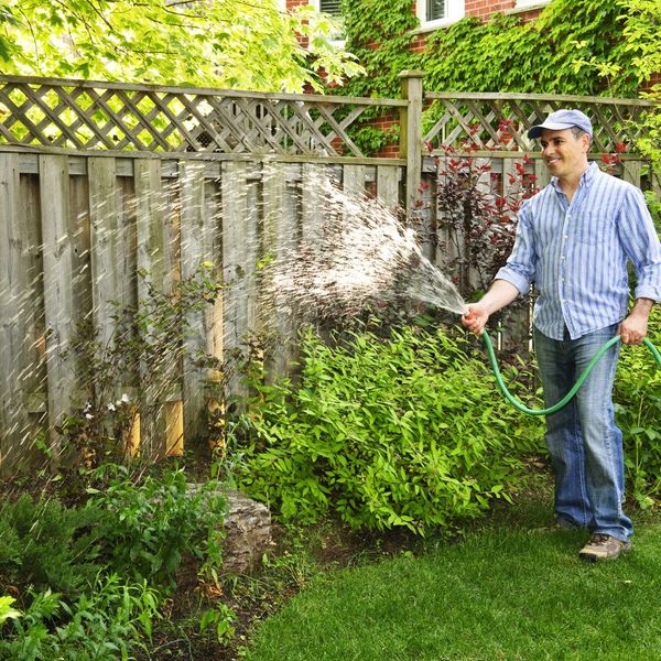 Man watering his garden