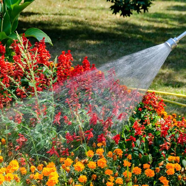 flowers being watered