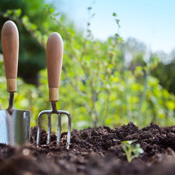 Shovel standing in a garden