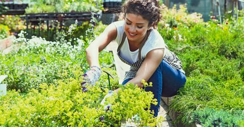 woman gardening