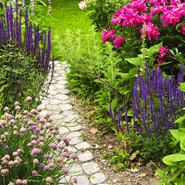 Colorful walkway in a garden