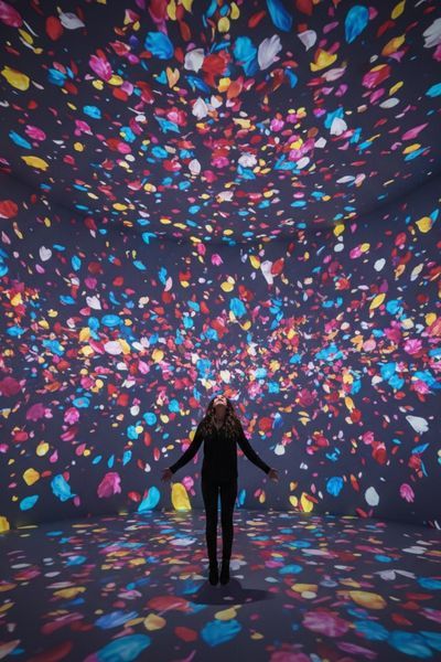 A person is engrossed in a photorealistic immersive art piece, where vibrant, hyper-realistic flower petals seem to float and drift around them in a dark space.