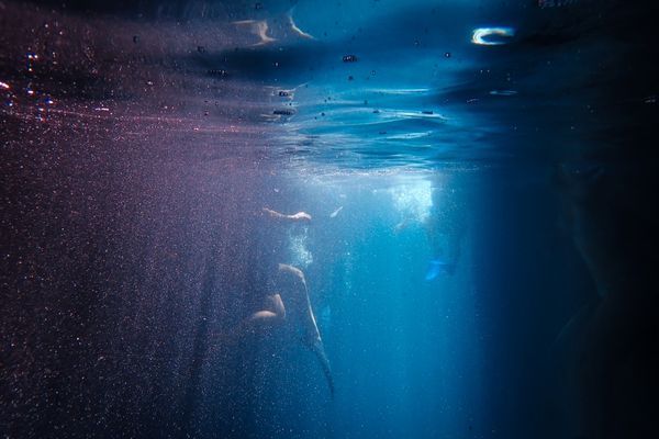 view of swimmers wearing fins underwater 