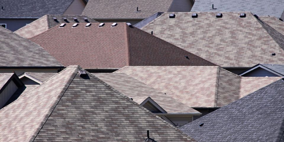 What to Expect During Your Roof Maxx Treatment-HERO.jpg