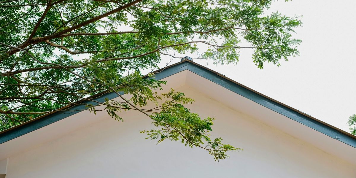 Replacement vs Rejuvenation Signs Your Roof is a Candidate for a TuneUp-HERO.jpg