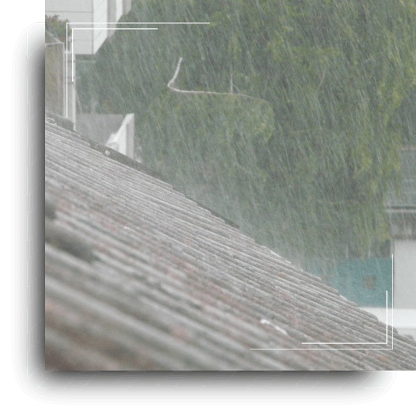 image3 (19) (1).png