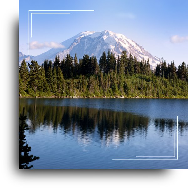 Mount Rainier behind a line on pine trees, relfecting on a lake.