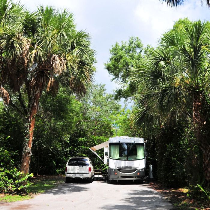 car and camper in woods