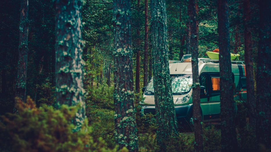 campervan in woods