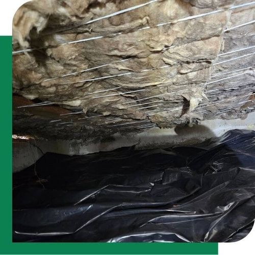 crawl space insulation