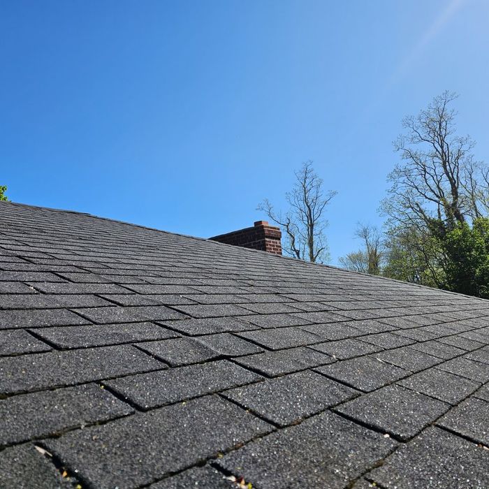 close up of shingles 