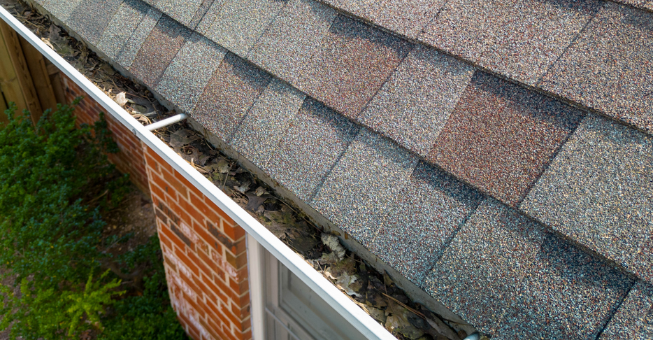 clean shingles but debris in gutters 