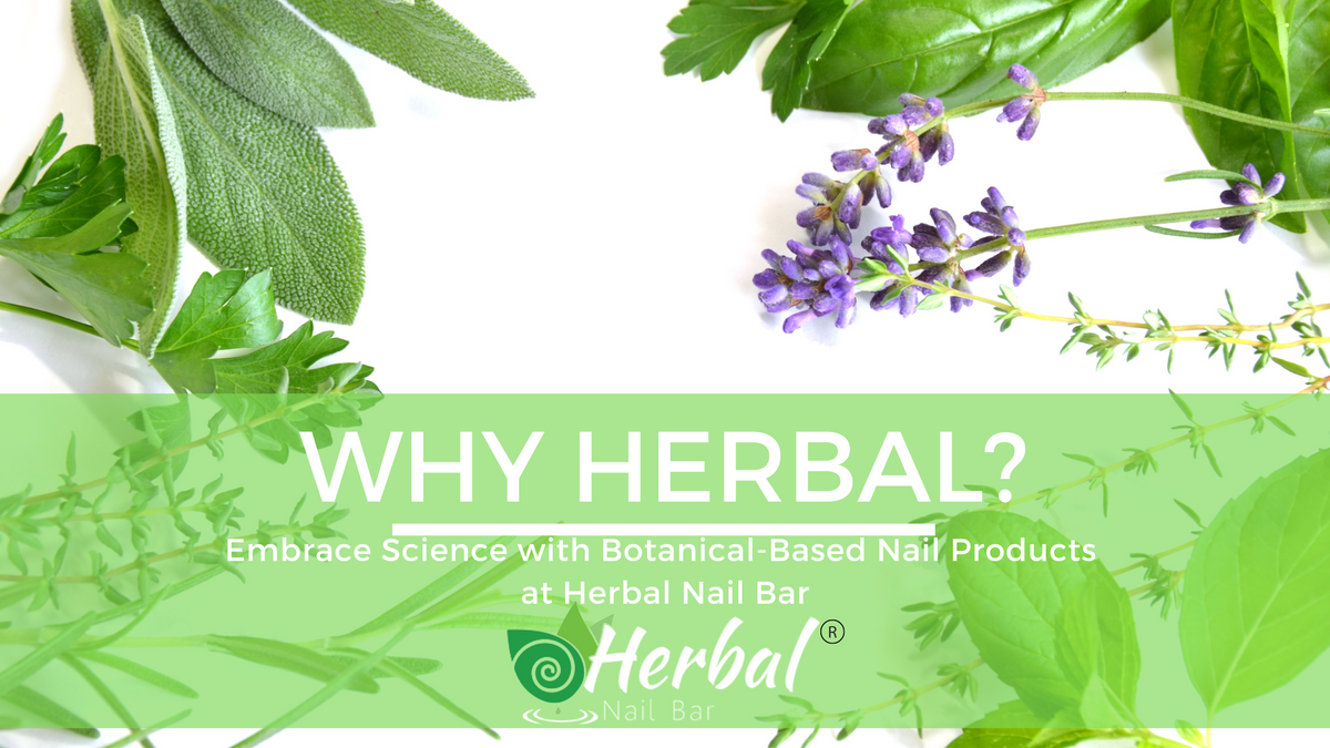 Herbal Blog Cover.png
