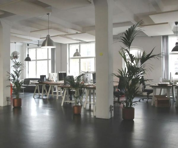 Modern open-plan office space after commercial remodeling