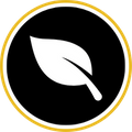 Sustainable and progressive practices icon