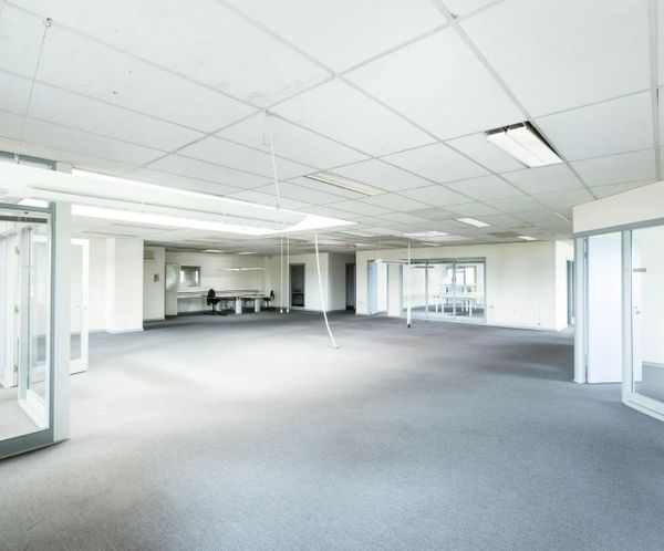 Empty commercial office space with white suspended ceiling grid and glass partitions