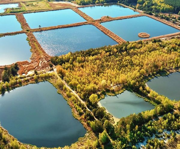 Aerial view of multiple rectangular detention ponds surrounded by forest and fields