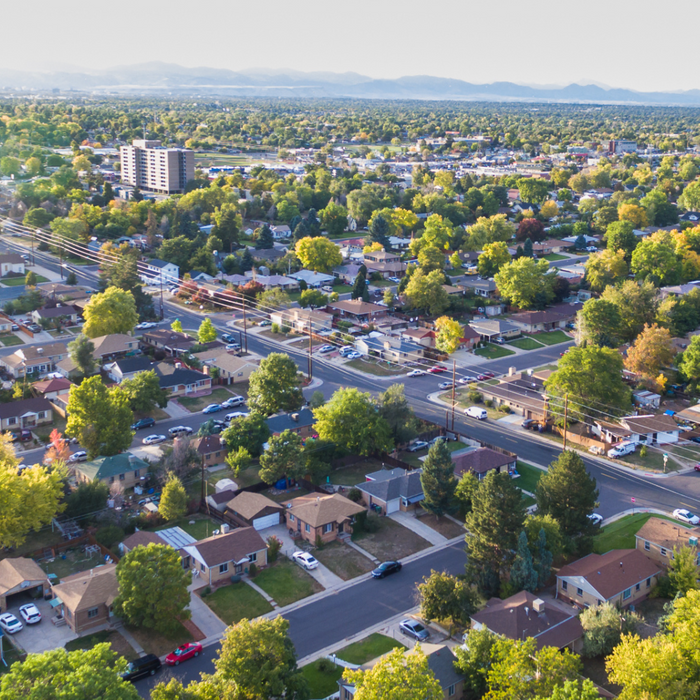 overview of neighborhood