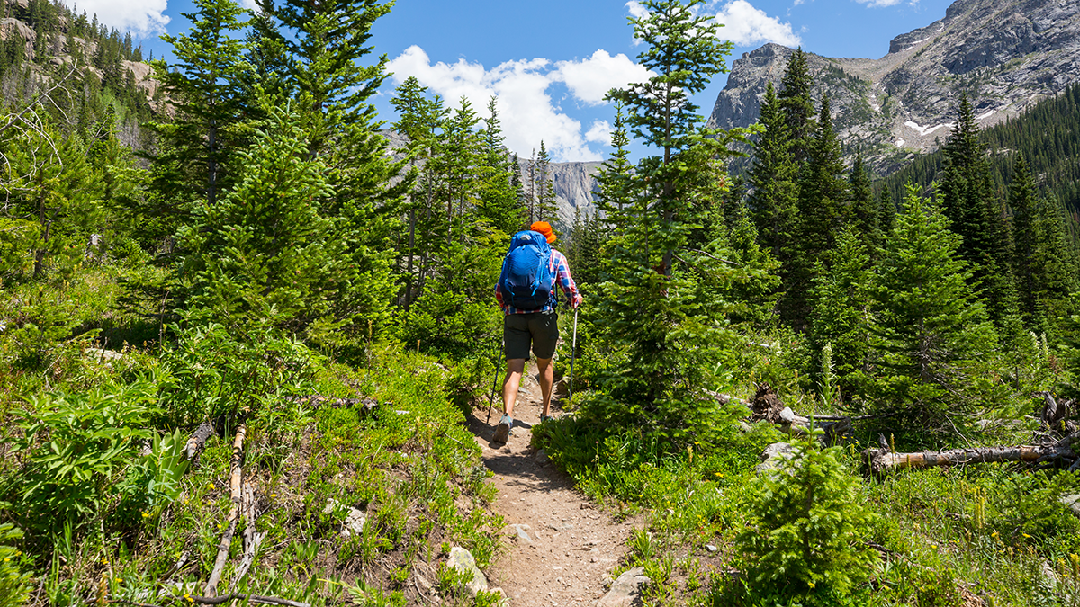 Jasper Trail Adventure.png