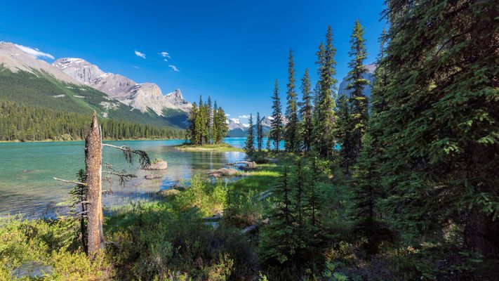 What to do in jasper6.jpg