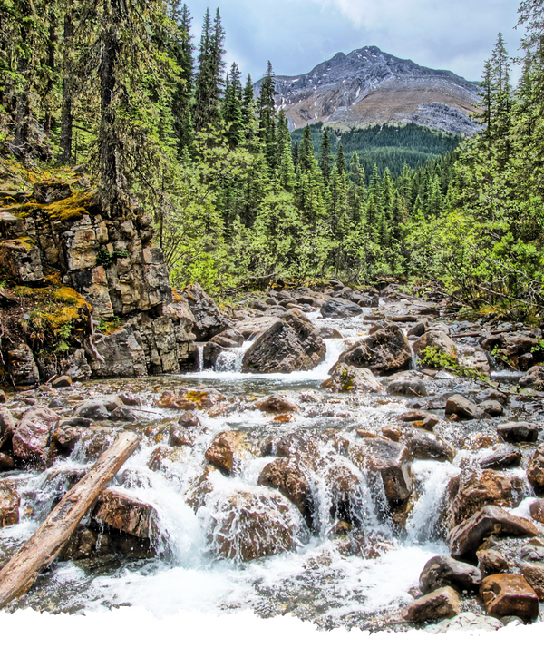 Miette Hot Springs (1).png