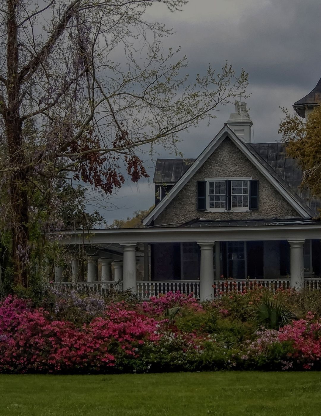 house with flowers and green lawn