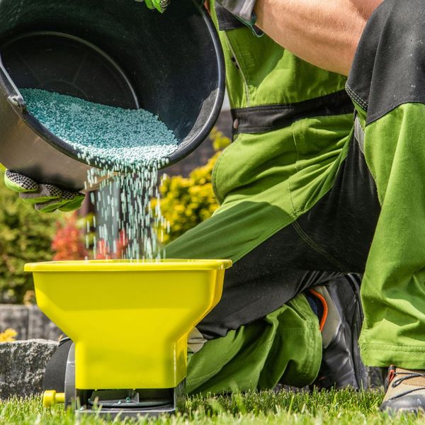 professional Lawn Fertilizer Service