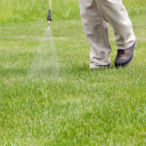 man spraying grass with herbicide