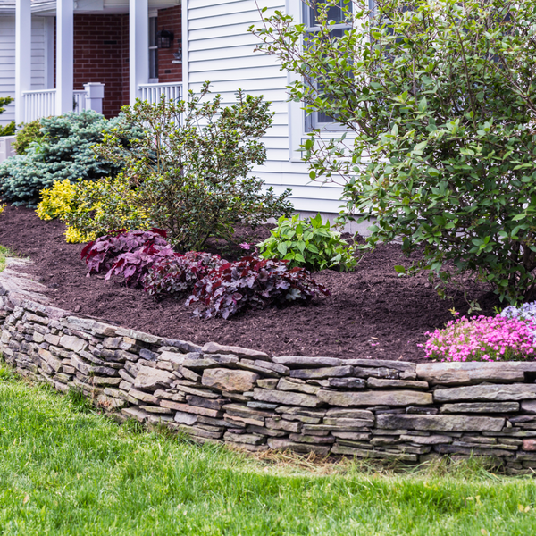 landscaped flowerbed with brown mulch