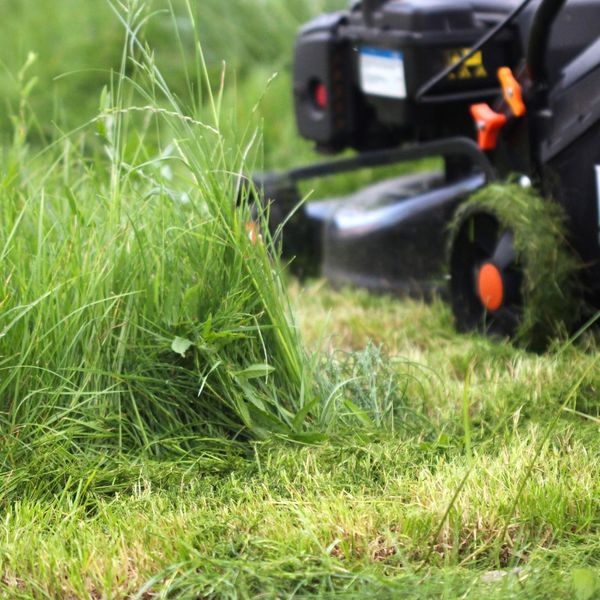 mowing tall grass in spring