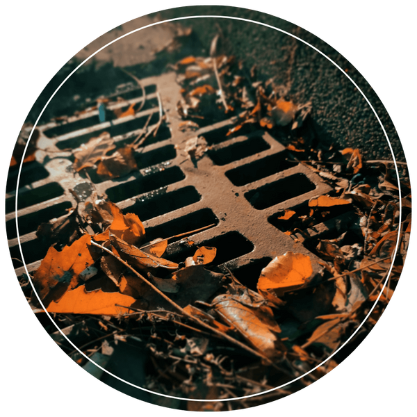 storm drain full of leaves storm drain full of leaves